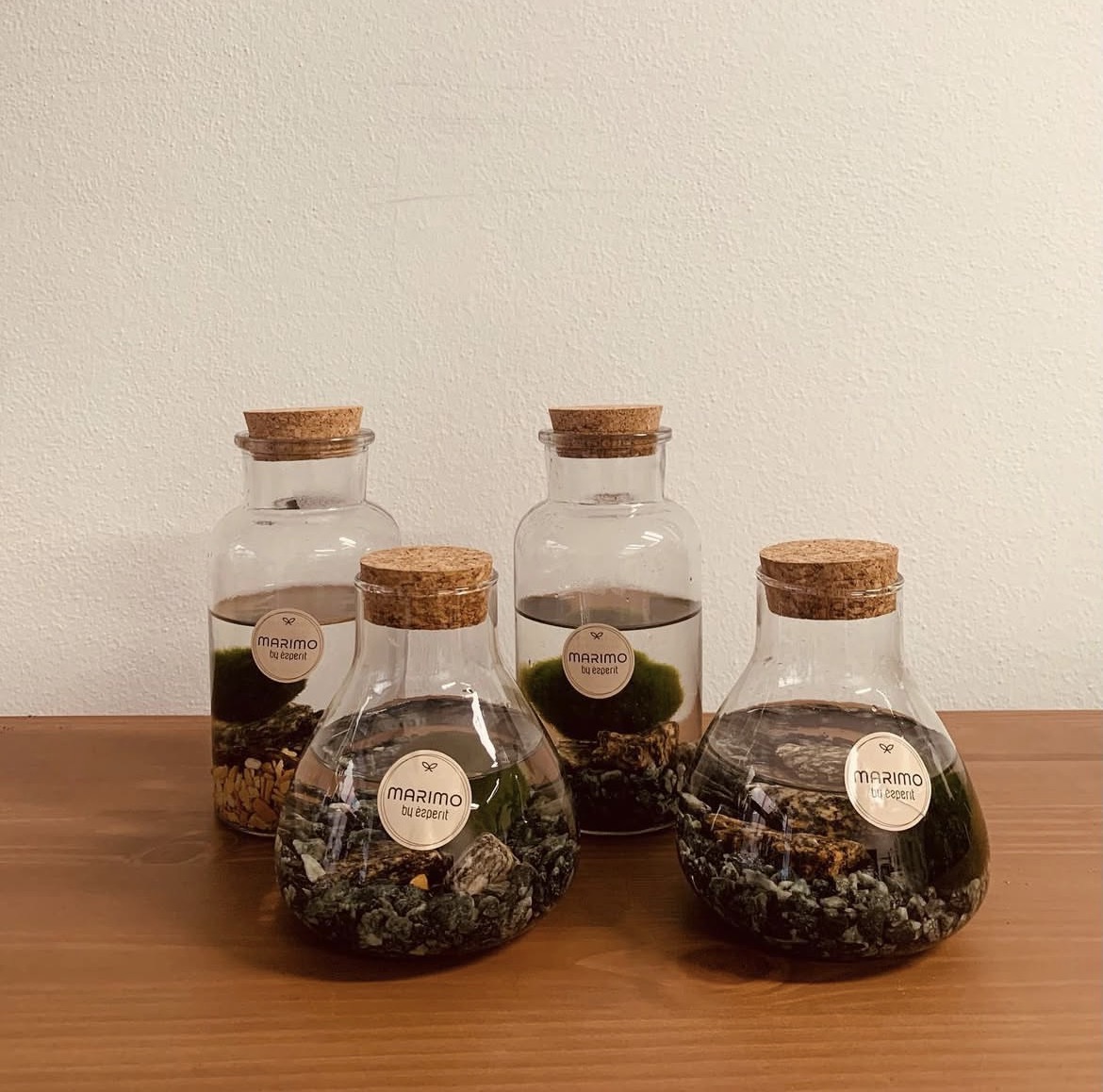 Marimo