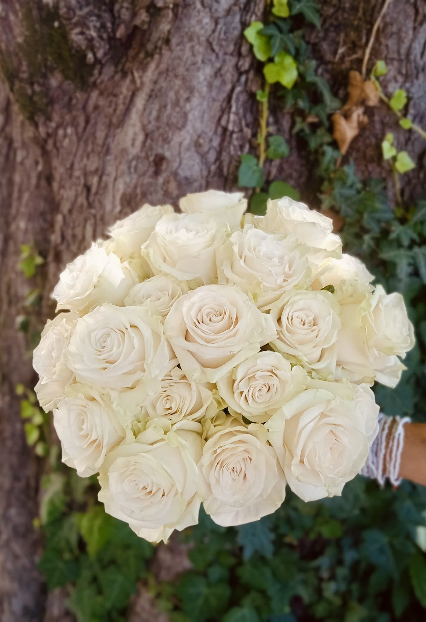 Bouquet rose